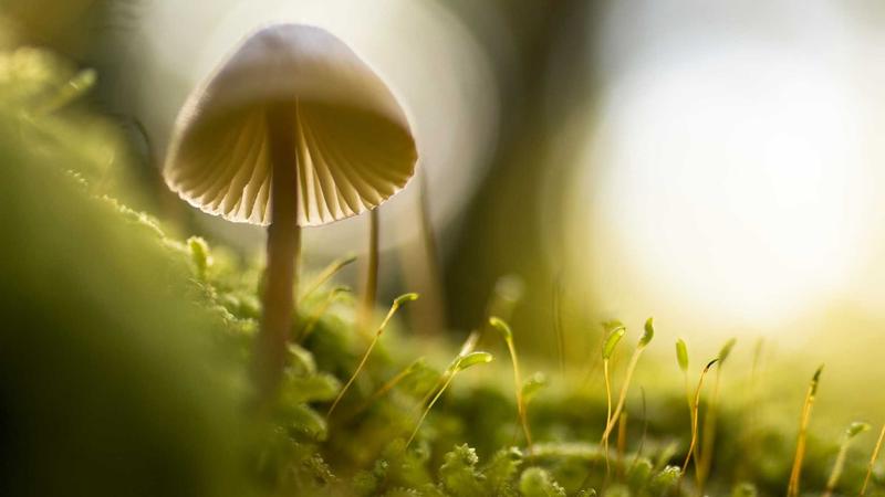 影视工厂网页版影视资源主视觉图